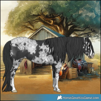 Horse Color:Black Ice 