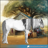 Horse Color:Black Ice Sabino Frame 