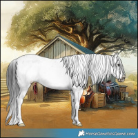 Horse Color:Black Ice Sabino Frame 