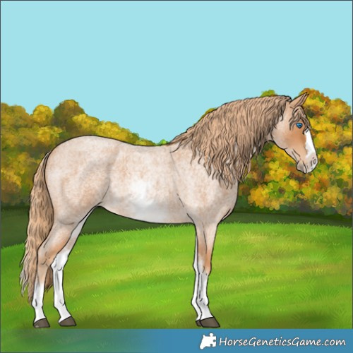 Horse Color:White Spotted Red Roan Splash 