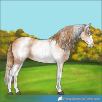 Horse Color:White Spotted Chestnut Splash 