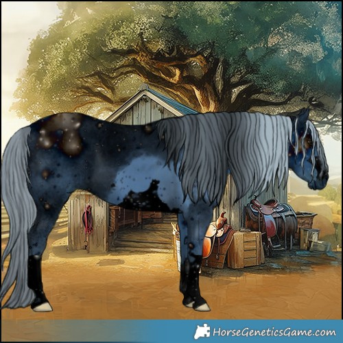 Horse Color:ERROR: UNKNOWN ANOMALY