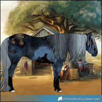 Horse Color:ERROR: UNKNOWN ANOMALY