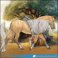 Horse Color:Powder White Silver Buckskin Dun 