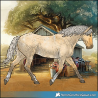 Horse Color:Powder White Silver Buckskin Roan Dun 