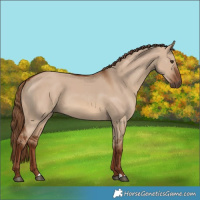 Horse Color:Red Dun 