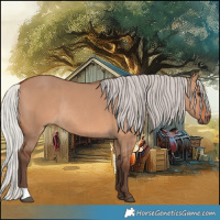 Horse Color:Silver Brown Dun Rabicano 