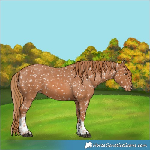 Horse Color:Chestnut Tobiano Snowflake Varnish