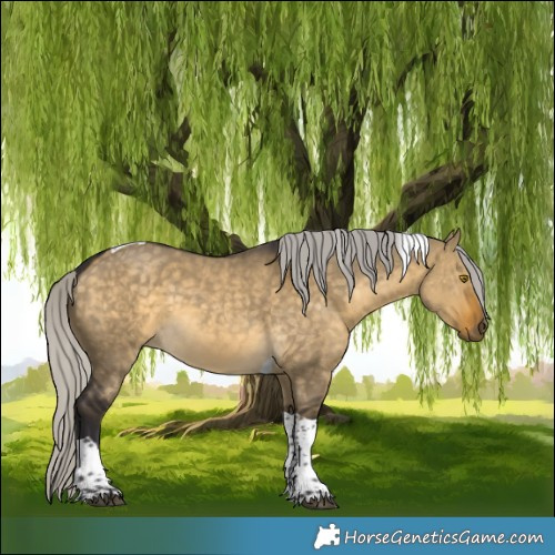 Horse Color:Silver Buckskin Dun Tobiano 