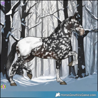 Horse Color:Brown Tobiano Snowcap 