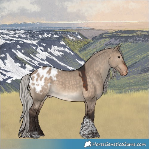Horse Color:Silver Brown Dun Tobiano Appaloosa 