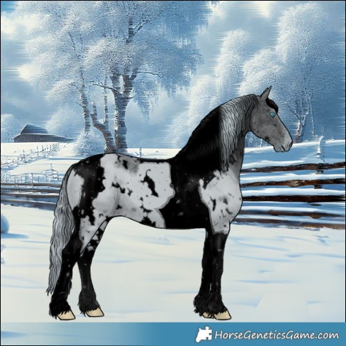 Horse Color:ERROR: UNKNOWN ANOMALY