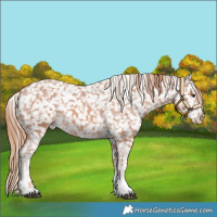 Horse Color:Chestnut Tobiano Snowflake Varnish