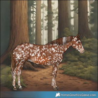 Horse Color:Chestnut Snowcap 