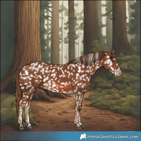 Horse Color:Chestnut Snowflake Varnish