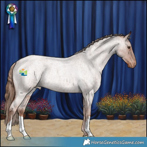 Horse Color:Red Roan Appaloosa Rabicano 