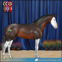 Horse Color:Brown Splash