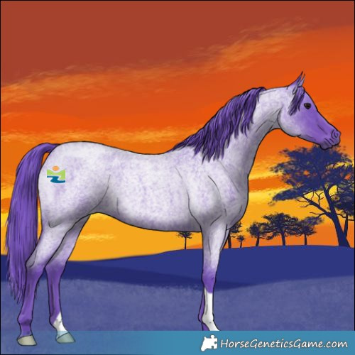 Horse Color:Watercolor Smoky Blue Roan 