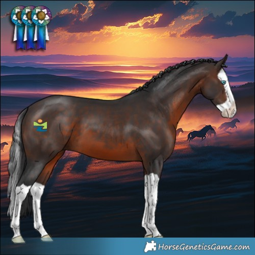 Horse Color:Brown Splash 