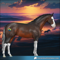 Horse Color:Brown Splash