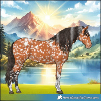Horse Color:Bay Tobiano Snowflake Varnish