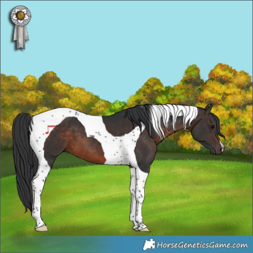 Horse Color:Brown Tobiano