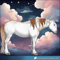 Horse Color:Red Dun Roan Splash Frame Rabicano