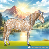 Horse Color:Chestnut Tobiano Snowflake Varnish