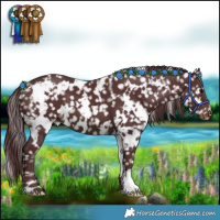 Horse Color:White Spotted Chocolate Brown Snowflake Varnish 