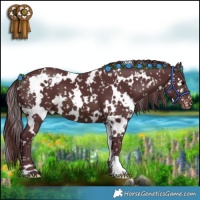 Horse Color:White Spotted Chocolate Brown Snowflake Varnish 
