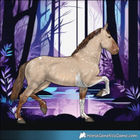 Horse Color:Red Dun Tobiano Snowflake Varnish
