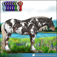 Horse Color:White Spotted Liver Chestnut Appaloosa