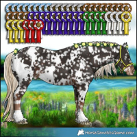Horse Color:White Spotted Liver Chestnut Snowflake Varnish 