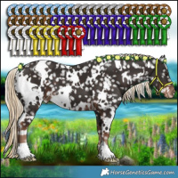 Horse Color:White Spotted Liver Chestnut Snowflake Varnish