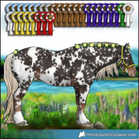 Horse Color:White Spotted Liver Chestnut Appaloosa 