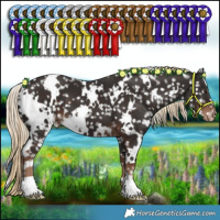 Horse Color:White Spotted Liver Chestnut Appaloosa 
