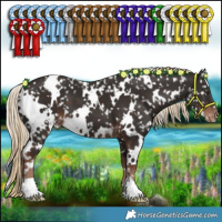 Horse Color:White Spotted Liver Chestnut Appaloosa