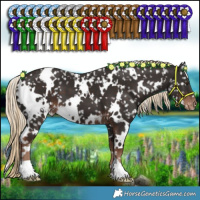 Horse Color:White Spotted Liver Chestnut Appaloosa
