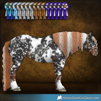 Horse Color:White Spotted Liver Chestnut Appaloosa Rabicano 