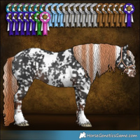Horse Color:White Spotted Liver Chestnut Snowflake Varnish Rabicano 