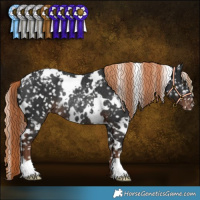 Horse Color:White Spotted Liver Chestnut Appaloosa Rabicano 
