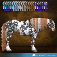 Horse Color:White Spotted Liver Chestnut Appaloosa Rabicano 