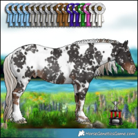 Horse Color:White Spotted Liver Chestnut Appaloosa Rabicano