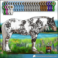 Horse Color:White Spotted Liver Chestnut Appaloosa Rabicano 
