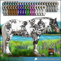 Horse Color:White Spotted Liver Chestnut Snowflake Varnish Rabicano 