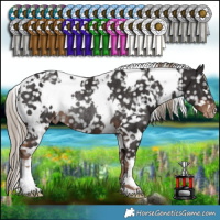 Horse Color:White Spotted Liver Chestnut Snowflake Varnish Rabicano 