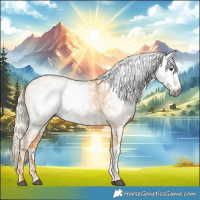 Horse Color:Gray Palomino Tobiano Snowflake Varnish