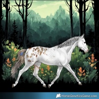 Horse Color:Bay Blanket and Buckskin Blanket