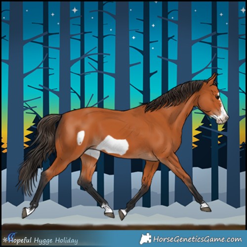 Horse Color:Bay Frame 