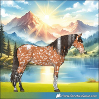 Horse Color:Bay Tobiano Snowflake Varnish